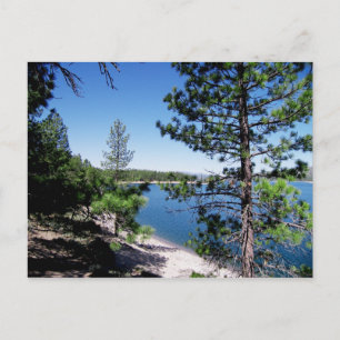 Tahoe staatlicher Wald - Kalifornien Postkarte