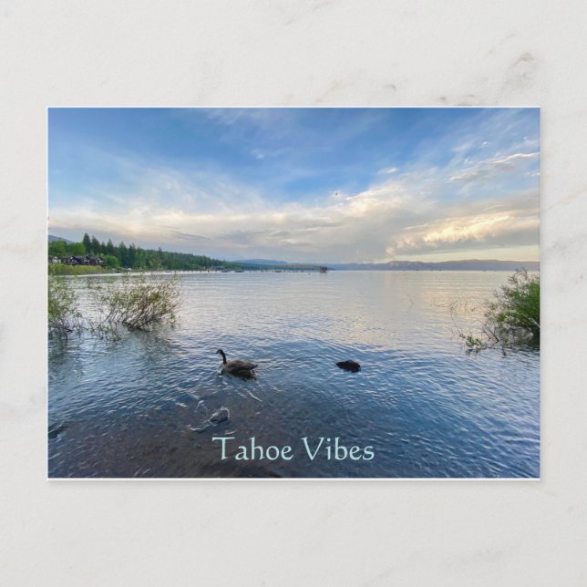 Tahoe Vibes Postcard Postkarte (Vorderseite)