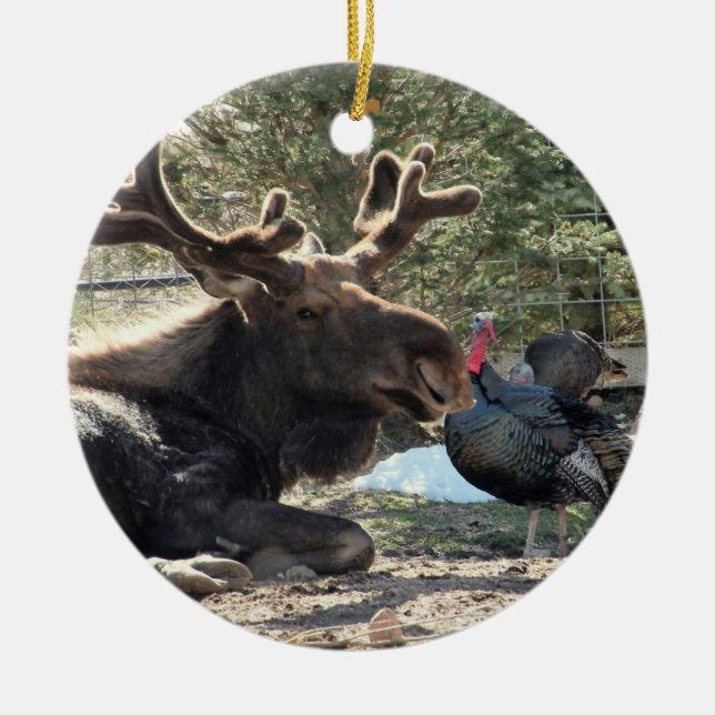 Tahoma & Eugene 2020 Keramik Ornament (Vorne)