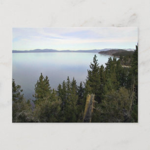 Tahosee mit Kiefern Postkarte