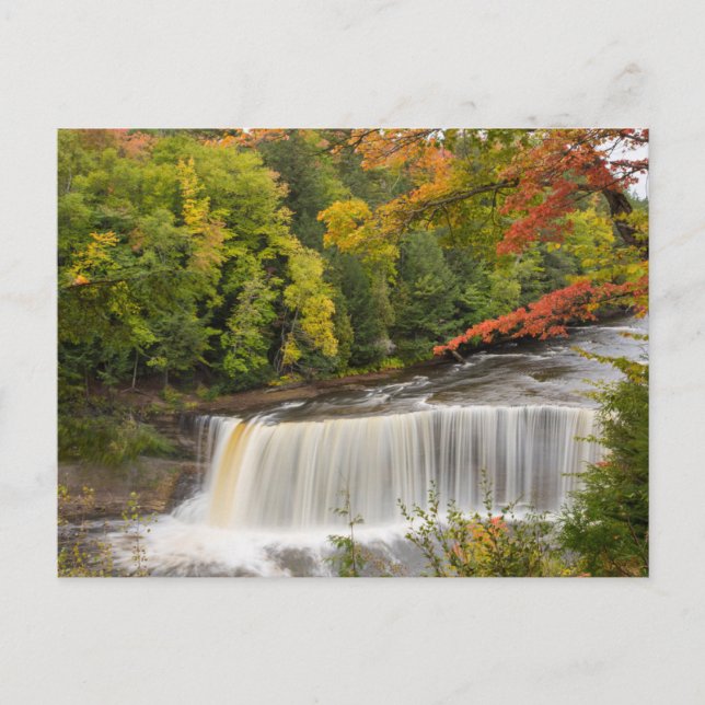 Tahquamenon Falls in Fall Postkarte (Vorderseite)