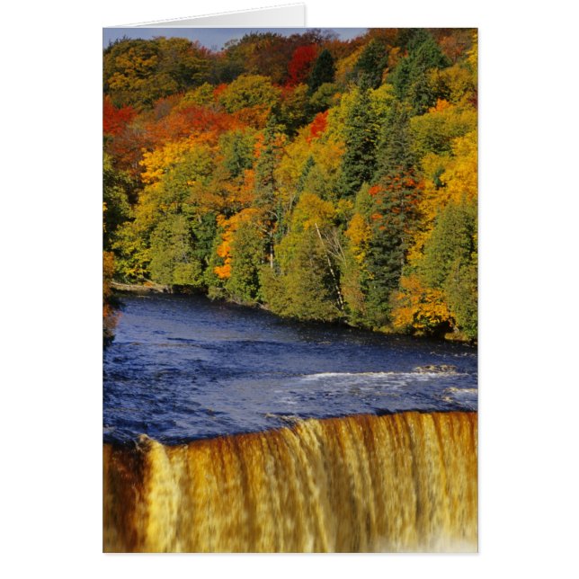 Tahquamenon Falls in UP Michigan (Vorne)