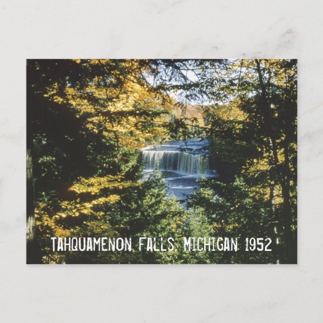 Tahquamenon Falls Michigan Postcard Postkarte (Vorderseite)
