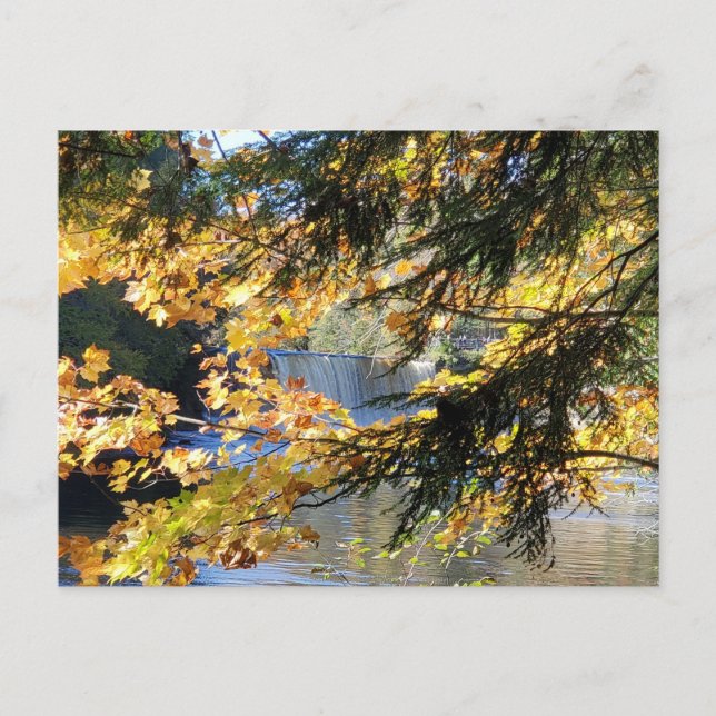 Tahquamenon Falls Postkarte (Vorderseite)