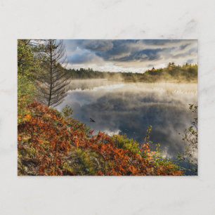 Tahquamenon River Sunrise   Paradies, Michigan Postkarte