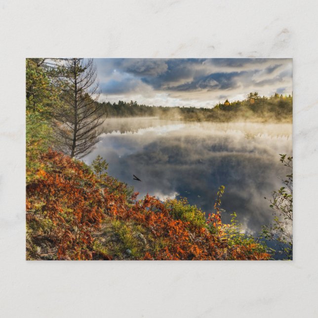 Tahquamenon River Sunrise | Paradies, Michigan Postkarte (Vorderseite)