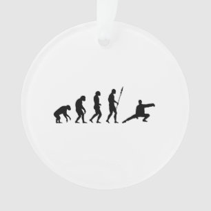 Tai-Chi-Evolution Ornament