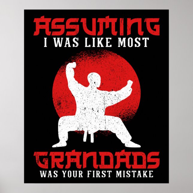 Tai Chi Grandpa Poster (Vorne)