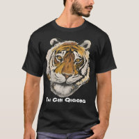 Tai Chi Qigong Large Tiger Face
