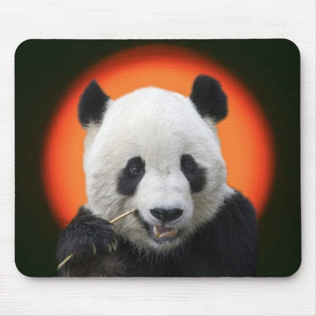 TAI SHAN MOUSEPAD (Vorne)