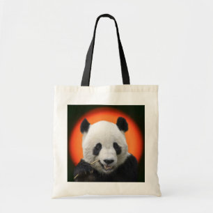 TAI SHAN TRAGETASCHE