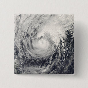 Taifun-Delphin im philippinischen Meer Button