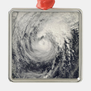 Taifun-Delphin im philippinischen Meer Ornament Aus Metall