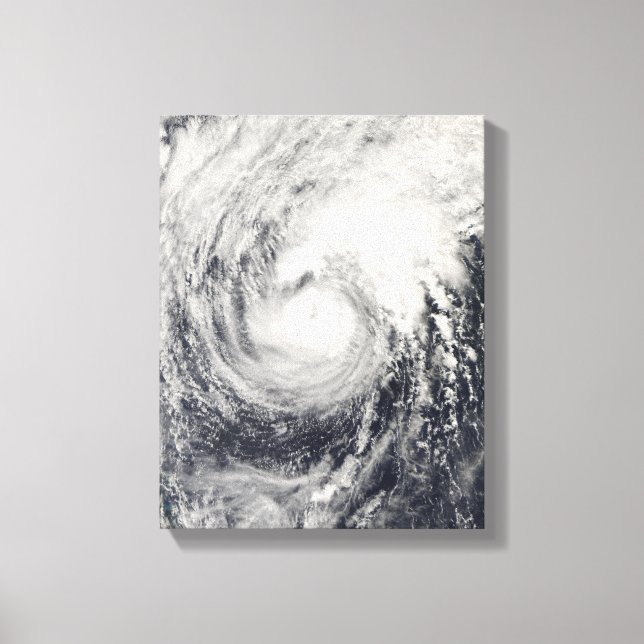 Taifun Dolphin im philippinischen Meer Leinwanddruck (Vorderseite)