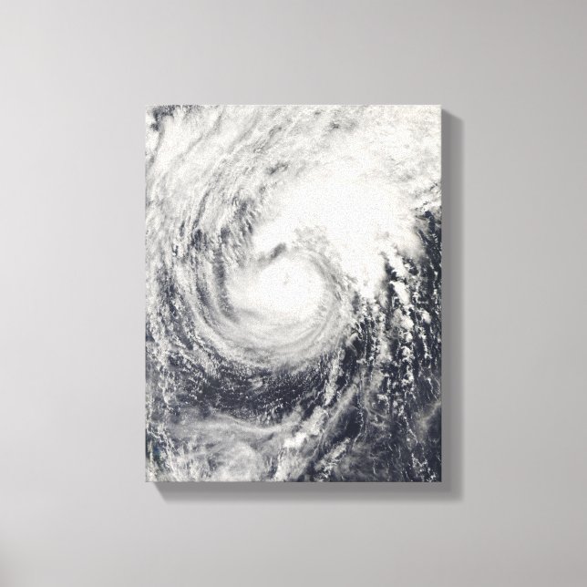 Taifun Dolphin im philippinischen Meer Leinwanddruck (Vorderseite)