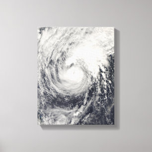 Taifun Dolphin im philippinischen Meer Leinwanddruck