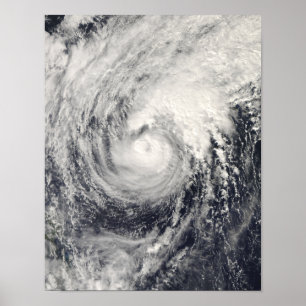 Taifun Dolphin im philippinischen Meer Poster