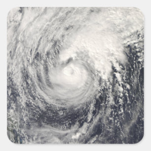 Taifun Dolphin im philippinischen Meer Quadratischer Aufkleber