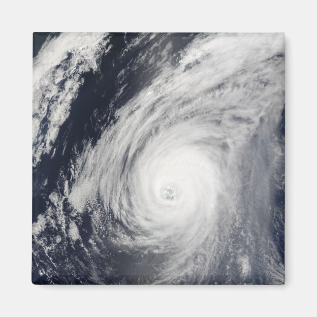 Taifun Sudal südlich von Japan 3 Magnet (Vorne)