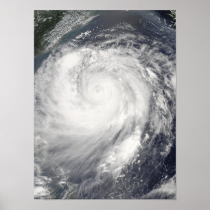 Taihoon Haitang Poster