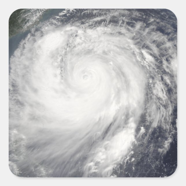 Taihoon Haitang Quadratischer Aufkleber (Vorderseite)