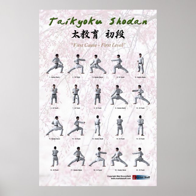Taikyoku Shodan - Erste Kata Poster (Vorne)