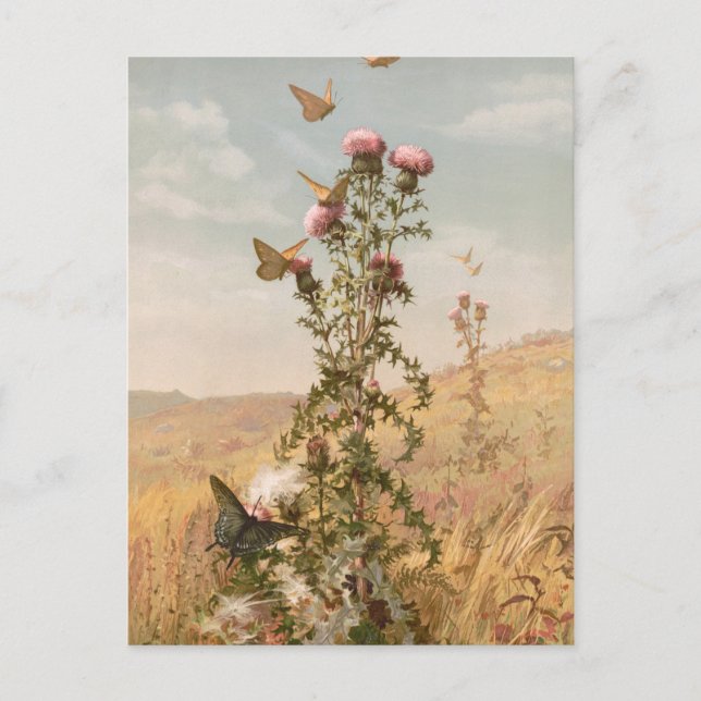 Taille | Fidelia Bridges Postkarte (Vorderseite)