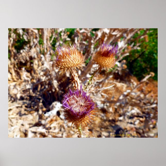 Taille Poster (Vorne)