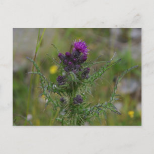 Taille Postkarte