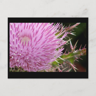 Taille Postkarte