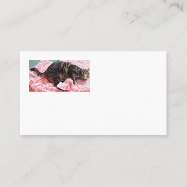 Tailor Dave American Business Cards Visitenkarte (Vorderseite)