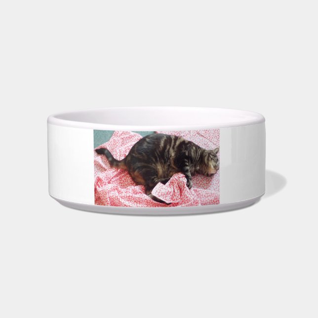 Tailor Dave Keramik Pet Bowl Napf (Vorderseite)
