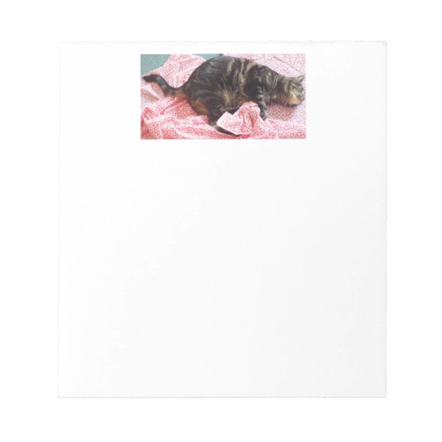 Tailor Dave Notepad Notizblock (Vorderseite)