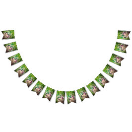 Taino-Coqui-Froschflagge Wimpelkette