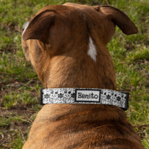 Taino Symbole Puerto Rico Kultur