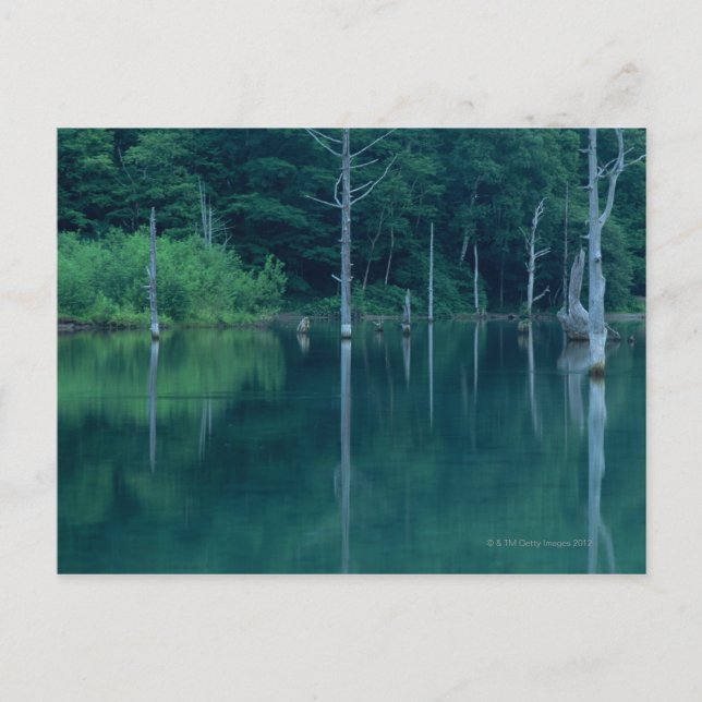 Taisho Pond Postkarte (Vorderseite)