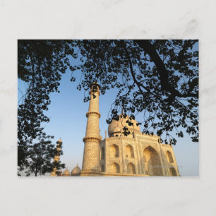 Taj Mahal bei Sonnenaufgang. Agra, Indien 2008. Postkarte