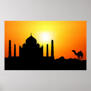 Taj Mahal & Camel im Hintergrund Poster