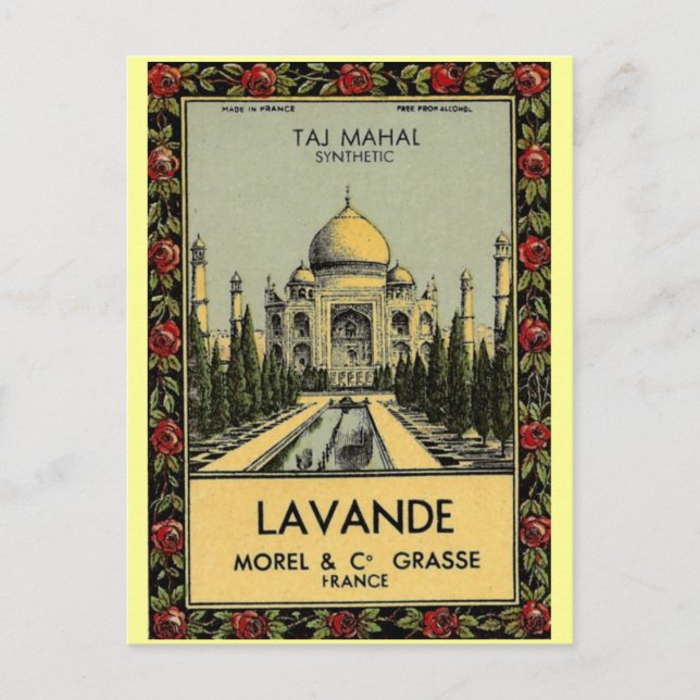 Taj Mahal Lavande Postcard Postkarte (Vorderseite)