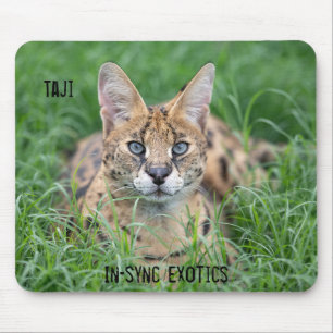 Taji - mousepad