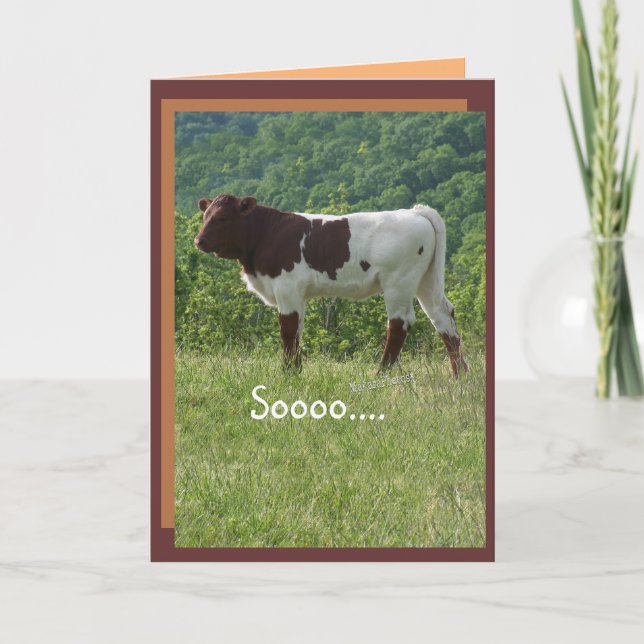 TakaraBday 2 - fertigen Sie jede mögliche Karte (Vorderseite)