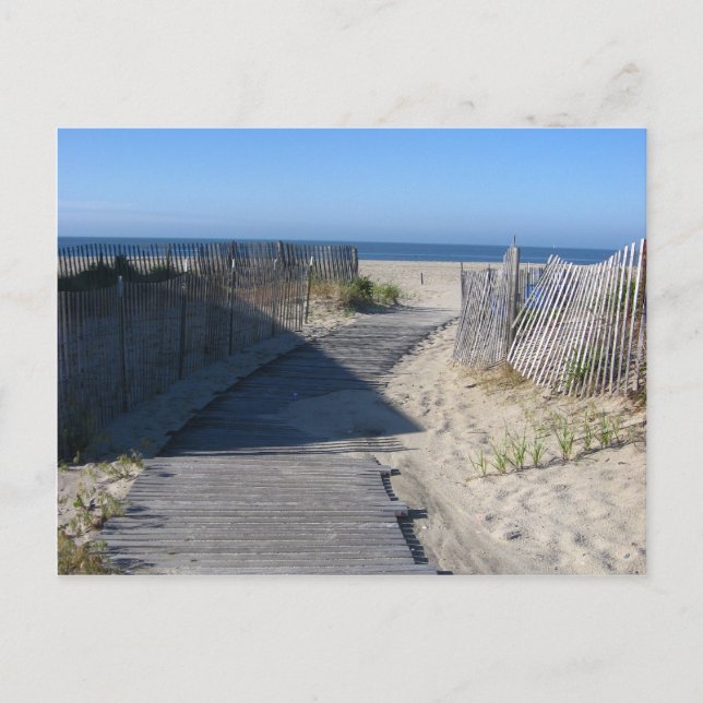 Take Me to the Beach! Postkarte (Vorderseite)