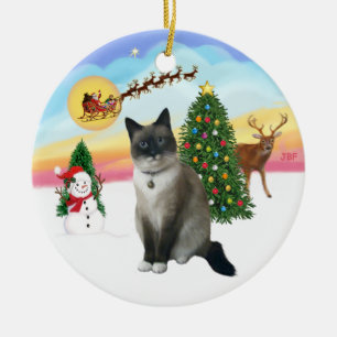 Take Off - Schneeschuhkatze Keramik Ornament