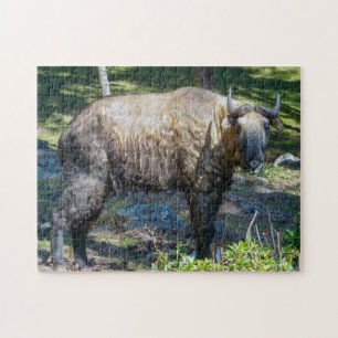 Takin, Nationaltier von Bhutan - Himalaja, Asien Puzzle