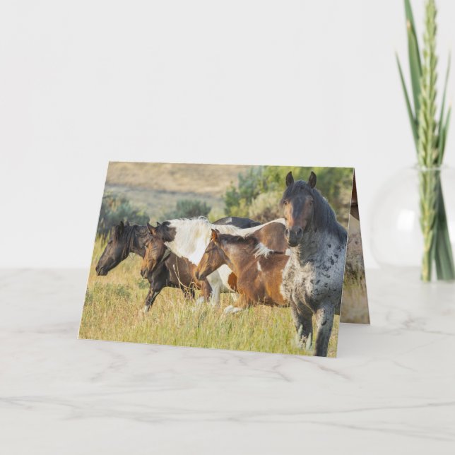 Takini und seine Grußkarte Dankeskarte (Vorderseite)