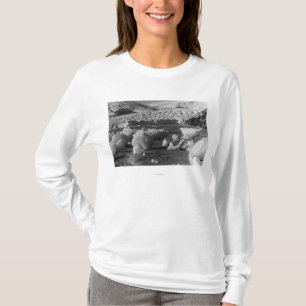 Taku Gletscher nahe Juneau, Alaska Fotografie T-Shirt