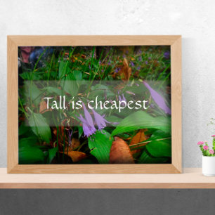 Tal ist das billigste Plakat für Weisheitsgrün