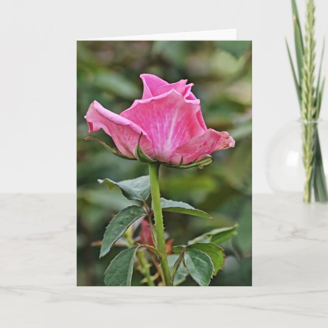 Tal Pink Rose Art Note Card Karte (Vorderseite)