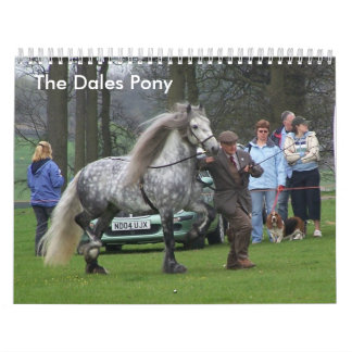 Tal-Pony-Kalender Kalender