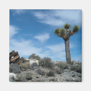 Talc Mine Ruins mit Joshua Tree Magnet